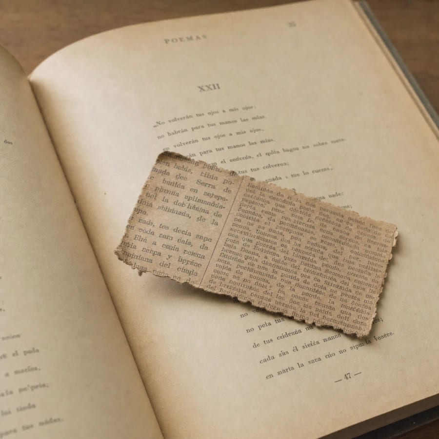 Recorte de diario encontrado entre páginas
